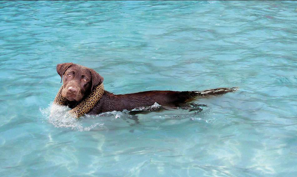 Expert Photo Retoucher NZ, Photoshop Mac Artist