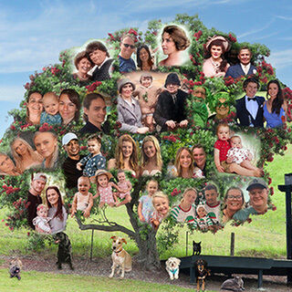 Family Trees & Groups